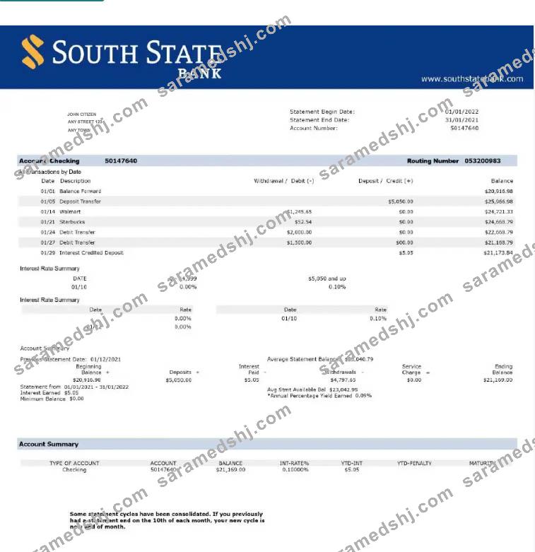 USA South State Bank statement Word and PDF template w